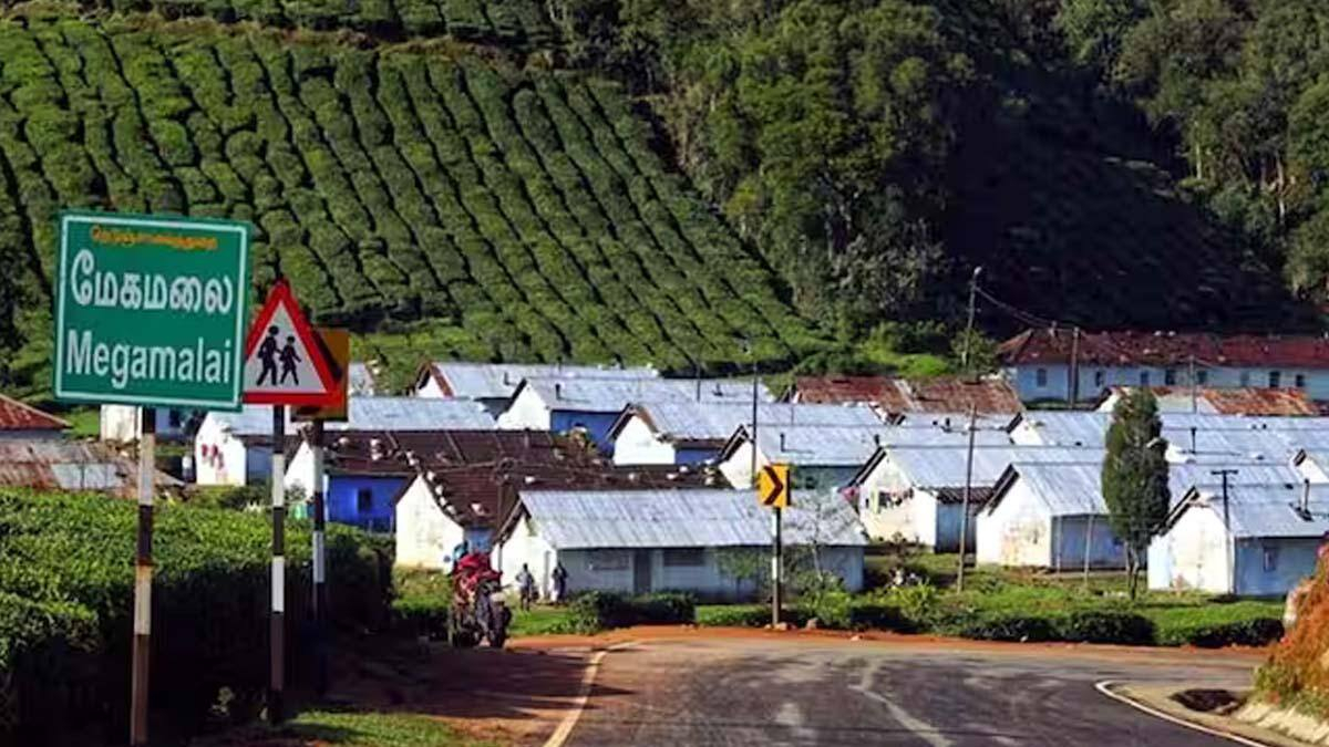 வன உரிமை பட்டா பெறுவது எப்படி? – 75 ஆண்டுகளுக்கும் மேலாக வசிக்கும் மேகமலை மக்களுக்கு பட்டா வழங்க கோரிக்கை.