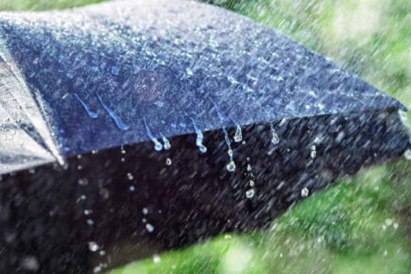கேரளாவில் 5 நாட்களுக்கு மழை எச்சரிக்கை; 2 மாவட்டங்களில் மஞ்சள் எச்சரிக்கை!