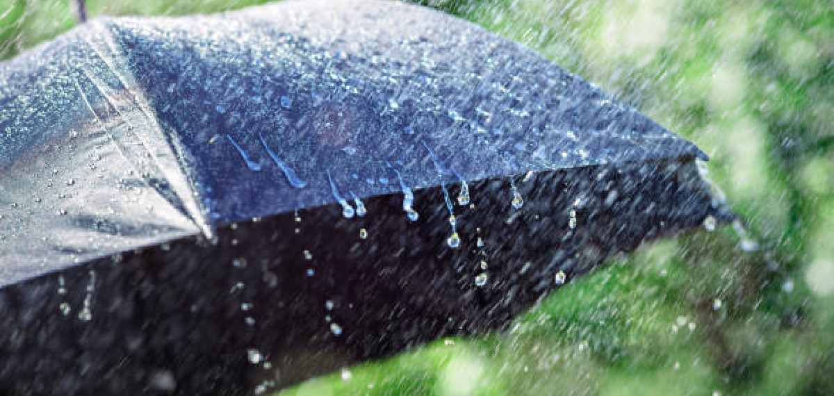 கேரளாவில் 5 நாட்களுக்கு மழை எச்சரிக்கை; 2 மாவட்டங்களில் மஞ்சள் எச்சரிக்கை!