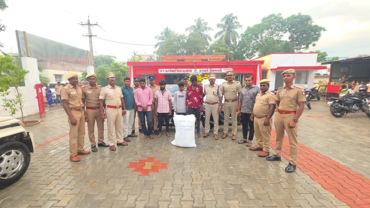 காவேரிப்பட்டினம் அருகே 30 கிலோ கஞ்சா பறிமுதல்! 4 பேர் கைது; 2 கார்கள், 2 ஸ்கூட்டர்கள் பறிமுதல்.