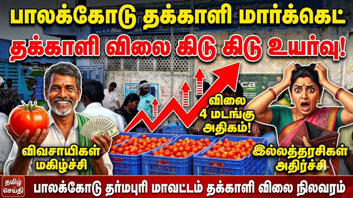 பாலக்கோடு தக்காளி மார்க்கெட்டில் கிடுகிடு விலை உயர்வு: விவசாயிகள் மகிழ்ச்சி; இல்லத்தரசிகள் அதிர்ச்சி.