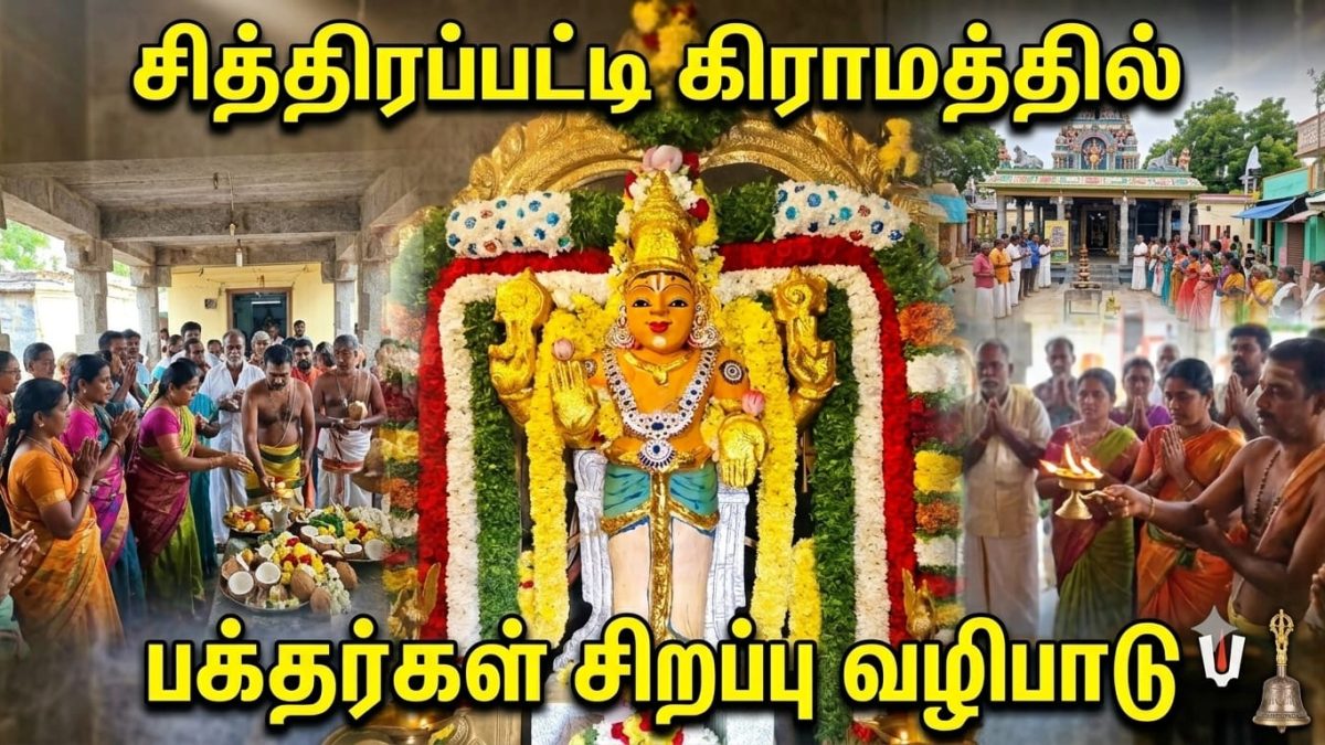 புரட்டாசி 3-வது சனிக்கிழமை: சித்திரப்பட்டி ஸ்ரீ பெருமாள் கோவிலில் சிறப்பு அலங்காரத்தில் அருள்பாலித்த பெருமாள்.