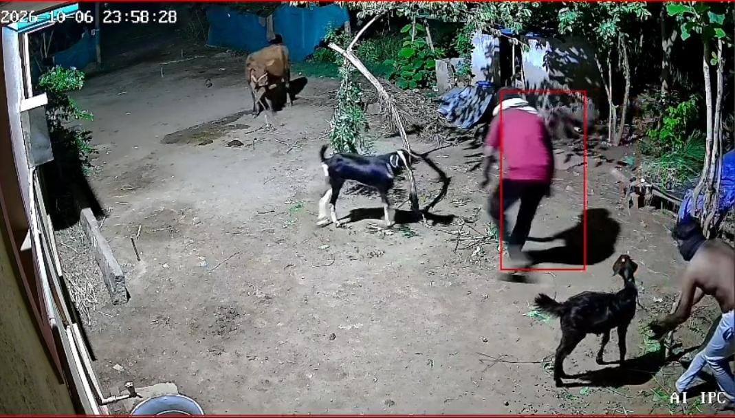 முகமூடி கொள்ளையர்கள் அட்டகாசம்! காரில் ஆடுகளை தூக்கிச் சென்ற மர்மநபர்கள் – சிசிடிவி காட்சி வைரல்.