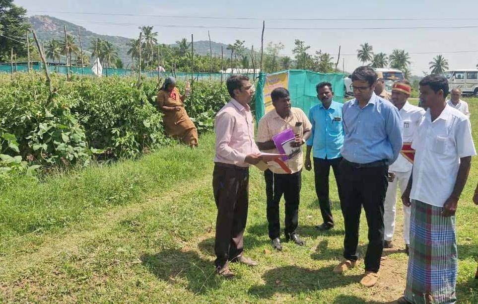 பாலக்கோட்டில் ‘உங்களைத் தேடி உங்கள் ஊரில்’ முகாம்! பல்வேறு வளர்ச்சிப் பணிகளை ஆட்சியர் சரவணன் ஆய்வு.