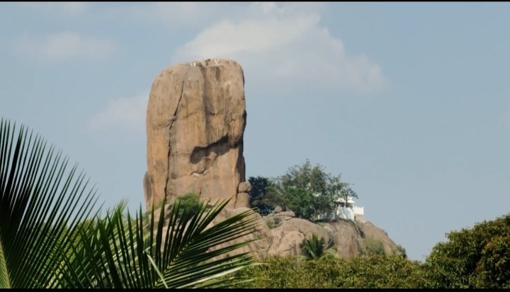கோயிலுக்கு சென்ற பக்தர்கள் மீது திடீர் தேனீக்கள் தாக்குதல்: மலைப்பாதையில் அலறியடித்து ஓட்டம்.