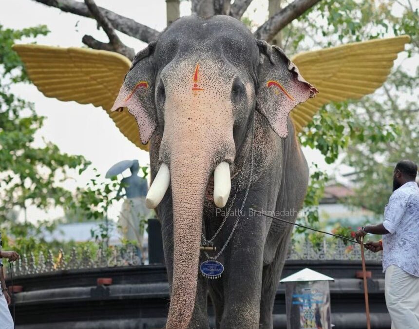 குளிப்பாட்டும்போது இடிமின்னல் தாக்கி யானை உயிரிழப்பு: பாறமேக்காவு தேவியின் திடம்பேற்றிய பிரம்மதத்தன்.