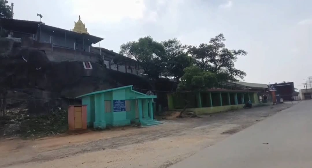 கோயிலுக்கு நேர்த்திக்கடனாக விடப்பட்ட 30-க்கும் மேற்பட்ட மாடுகள் மாயம்!