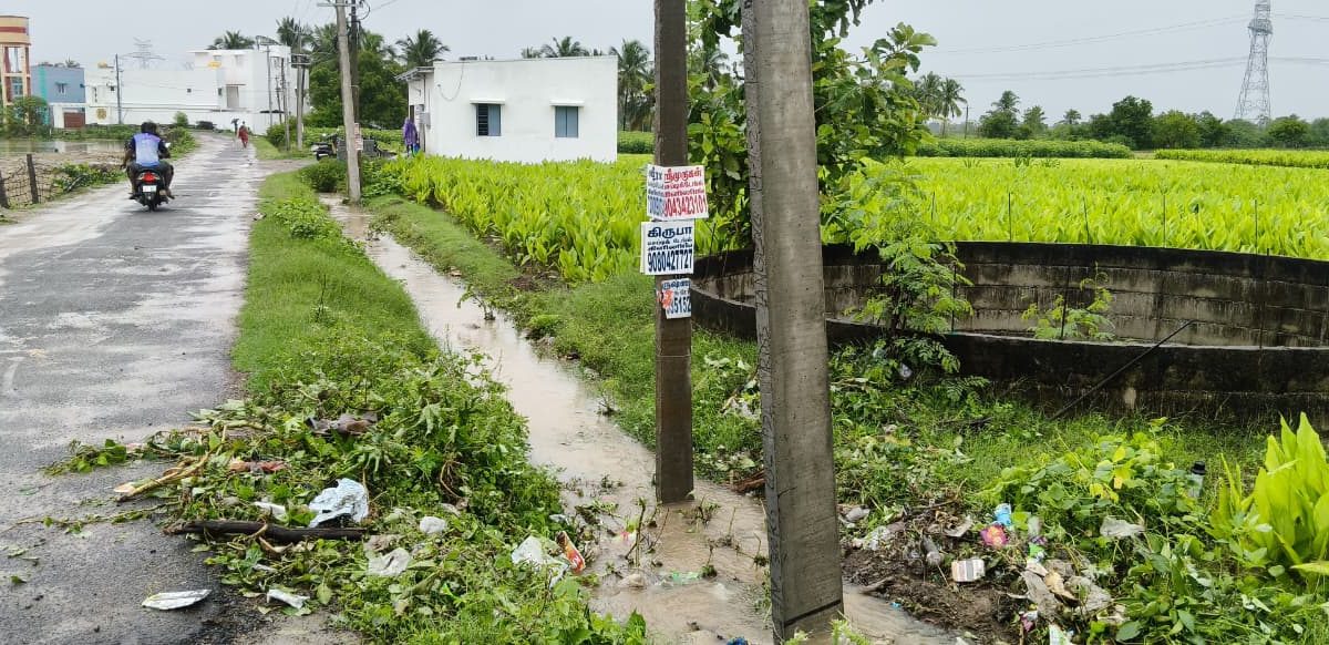 பாலக்கோடு அருகே நீர்வழிக் கால்வாய்களைத் தூர்வாராததால் விளைநிலங்களில் புகுந்த மழைநீர்! பயிர்கள் சேதம்; ஏக்கருக்கு ரூ.30 ஆயிரம் இழப்பு என விவசாயிகள் வேதனை.