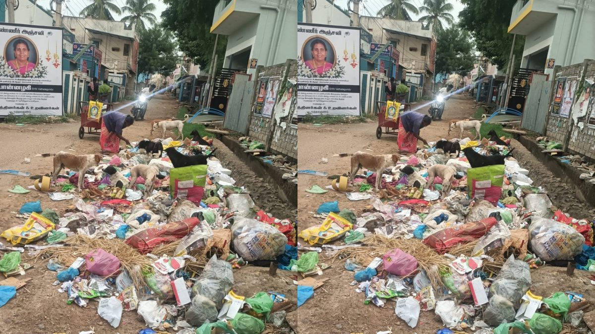 வத்தலக்குண்டு காந்தி நகர் பிரதான சாலையில் குப்பைக் குவியல்! பொதுமக்கள், தூய்மைப் பணியாளர்களுக்கு நாய்களால் அவதி.